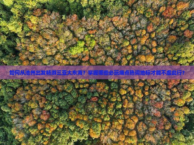 如何从池州出发畅游三亚大东海？掌握哪些必玩痛点热词地标才能不虚此行？