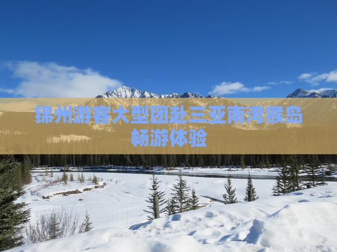 锦州游客大型团赴三亚南湾猴岛畅游体验