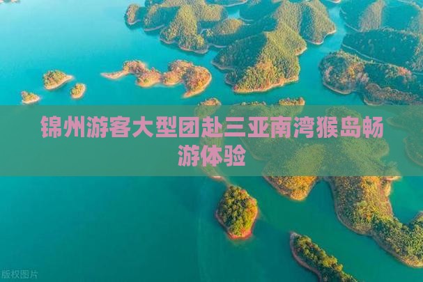 锦州游客大型团赴三亚南湾猴岛畅游体验