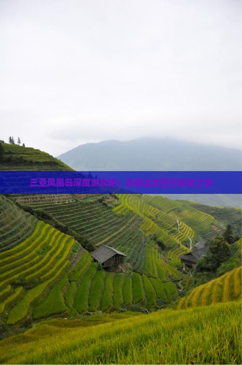 三亚凤凰岛深度游攻略：永新出发四日探索之旅