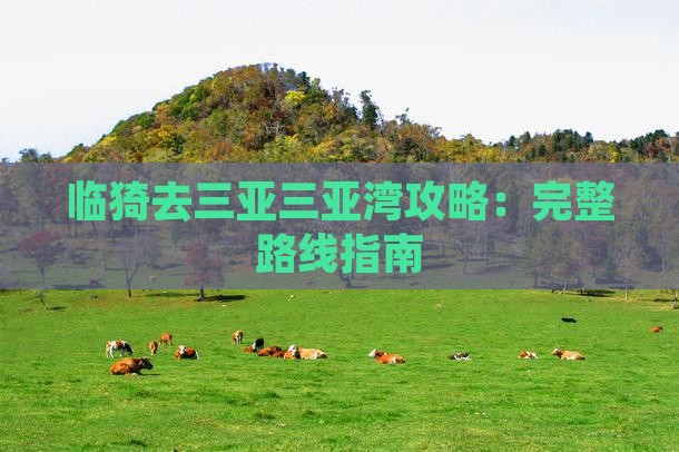 临猗去三亚三亚湾攻略：完整路线指南
