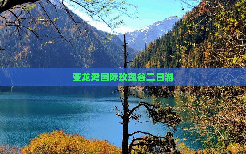亚龙湾国际玫瑰谷二日游