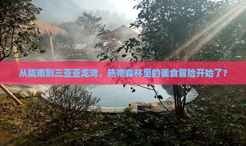 从陇南到三亚亚龙湾，热带森林里的美食冒险开始了？
