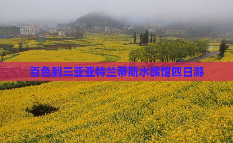 百色到三亚亚特兰蒂斯水族馆四日游