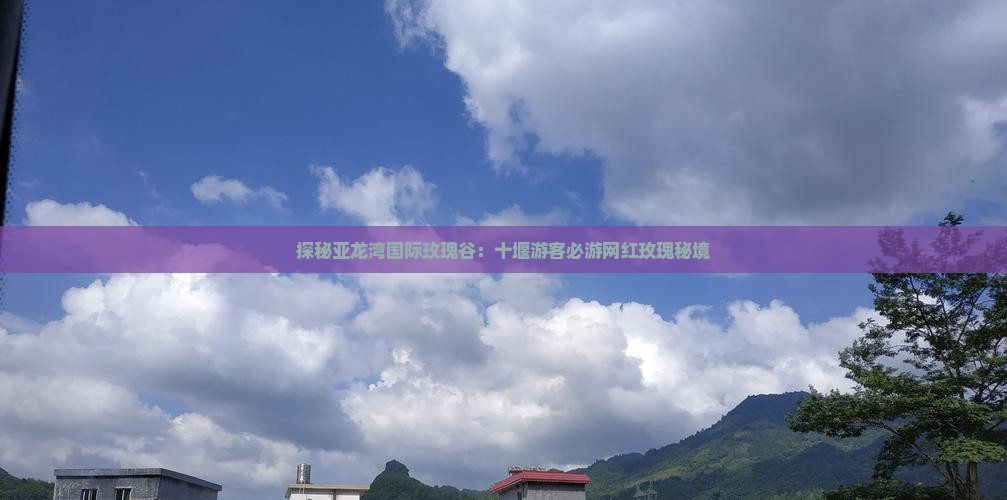 探秘亚龙湾国际玫瑰谷：十堰游客必游网红玫瑰秘境