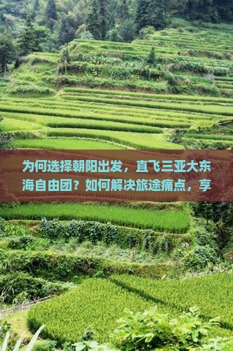 为何选择朝阳出发，直飞三亚大东海自由团？如何解决旅途痛点，享受无忧旅程？