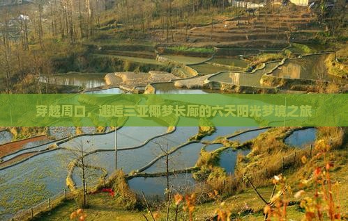 穿越周口，邂逅三亚椰梦长廊的六天阳光梦境之旅