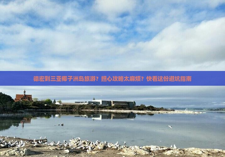 德宏到三亚椰子洲岛旅游？担心攻略太麻烦？快看这份避坑指南