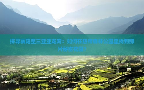 探寻襄阳至三亚亚龙湾：如何在热带森林公园里找到那片秘密花园？
