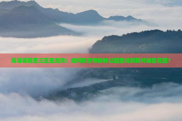 探寻襄阳至三亚亚龙湾：如何在热带森林公园里找到那片秘密花园？