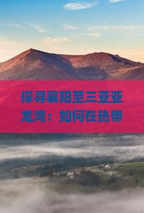 探寻襄阳至三亚亚龙湾：如何在热带森林公园里找到那片秘密花园？