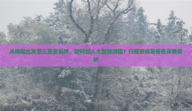 从绵阳出发至三亚皇后湾，如何加入大型旅游团？行程安排及报名详情解析