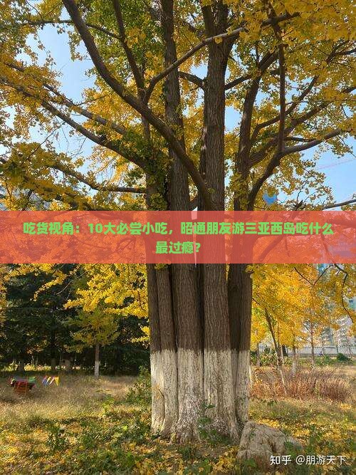 吃货视角：10大必尝小吃，昭通朋友游三亚西岛吃什么最过瘾？