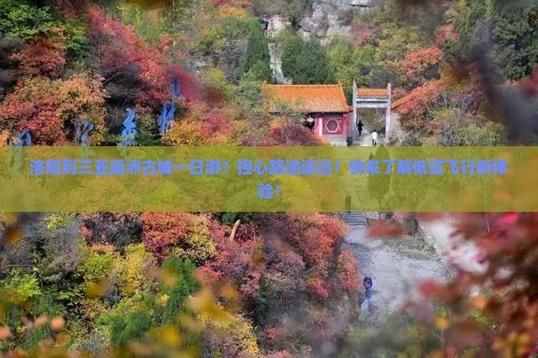 洛阳到三亚崖洲古城一日游？担心路途遥远？快来了解低空飞行新体验！