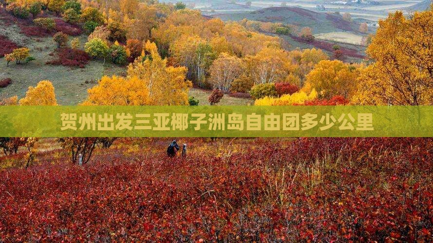 贺州出发三亚椰子洲岛自由团多少公里