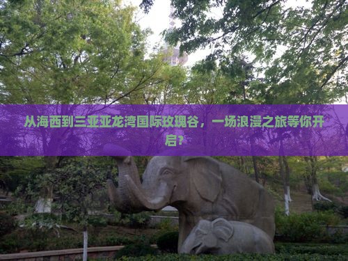 从海西到三亚亚龙湾国际玫瑰谷，一场浪漫之旅等你开启？