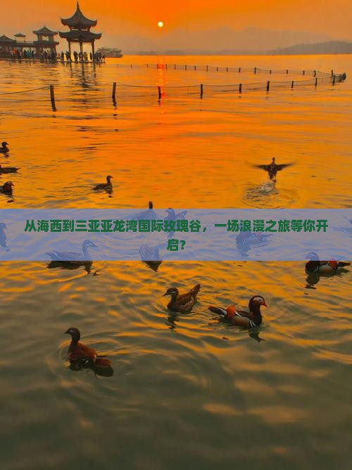 从海西到三亚亚龙湾国际玫瑰谷，一场浪漫之旅等你开启？