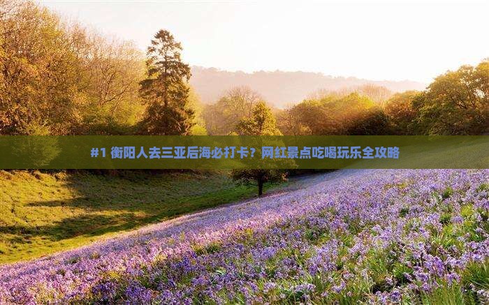 #1 衡阳人去三亚后海必打卡？网红景点吃喝玩乐全攻略