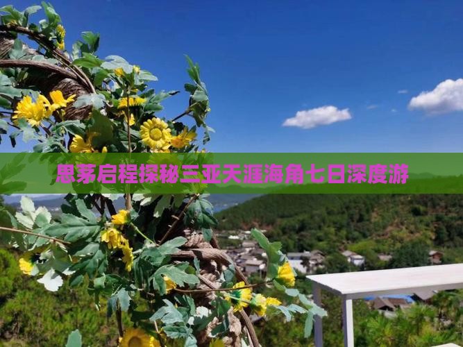 思茅启程探秘三亚天涯海角七日深度游