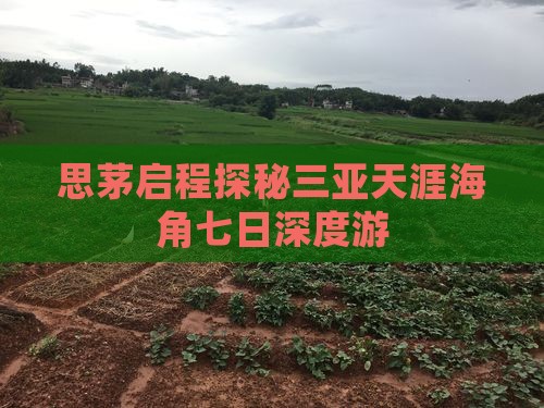 思茅启程探秘三亚天涯海角七日深度游