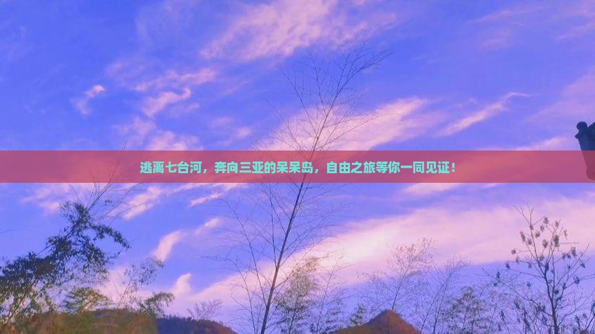 逃离七台河，奔向三亚的呆呆岛，自由之旅等你一同见证！