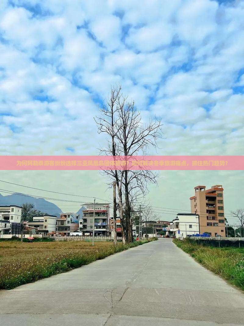 为何阿勒泰游客纷纷选择三亚凤凰岛团体旅游？如何解决冬季旅游痛点，抓住热门趋势？