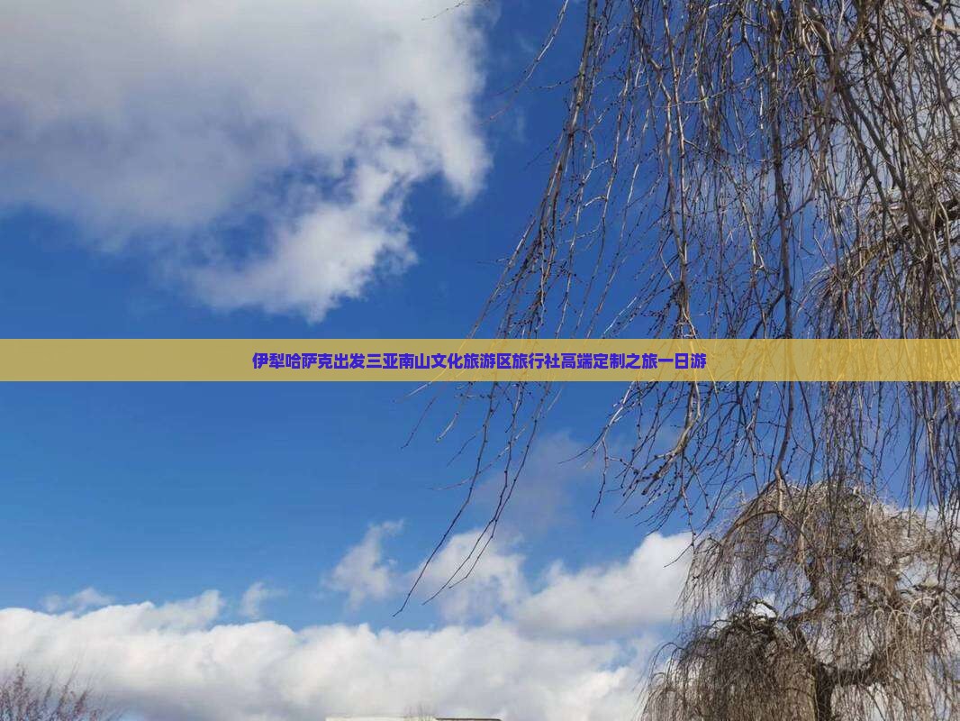 伊犁哈萨克出发三亚南山文化旅游区旅行社高端定制之旅一日游