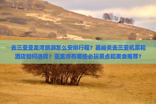 去三亚亚龙湾旅游怎么安排行程？嘉峪关去三亚机票和酒店如何选择？亚龙湾有哪些必玩景点和美食推荐？
