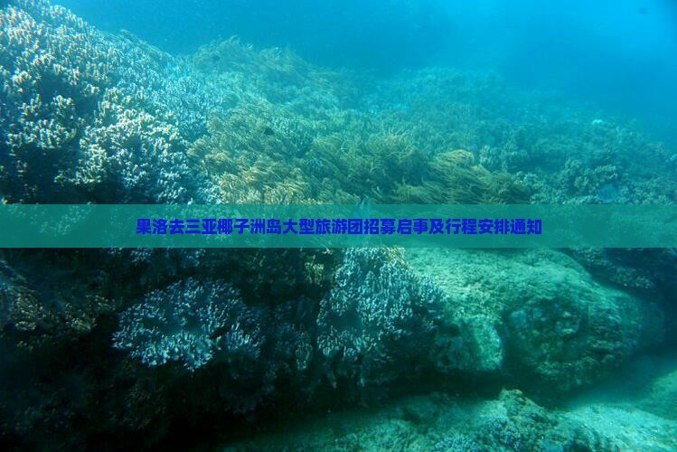 果洛去三亚椰子洲岛大型旅游团招募启事及行程安排通知