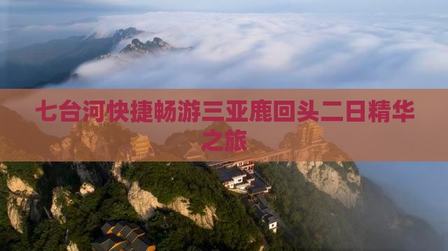 七台河快捷畅游三亚鹿回头二日精华之旅