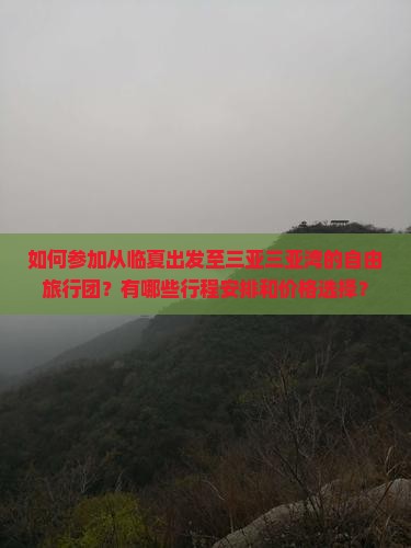 如何参加从临夏出发至三亚三亚湾的自由旅行团？有哪些行程安排和价格选择？