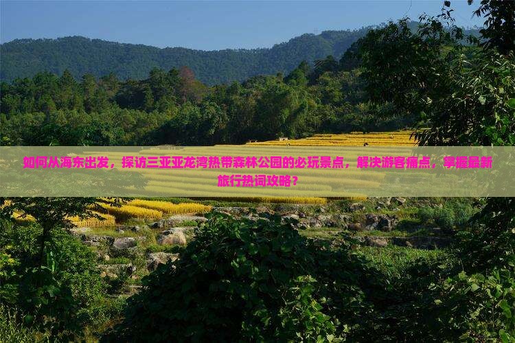 如何从海东出发，探访三亚亚龙湾热带森林公园的必玩景点，解决游客痛点，掌握最新旅行热词攻略？
