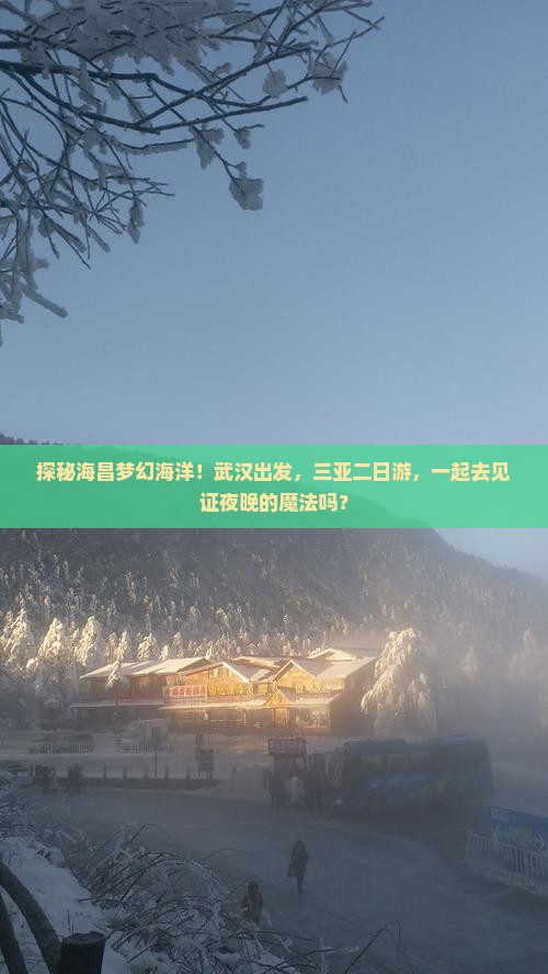 探秘海昌梦幻海洋！武汉出发，三亚二日游，一起去见证夜晚的魔法吗？