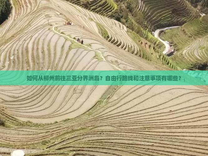 如何从柳州前往三亚分界洲岛？自由行路线和注意事项有哪些？
