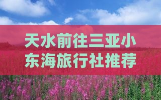 天水前往三亚小东海旅行社