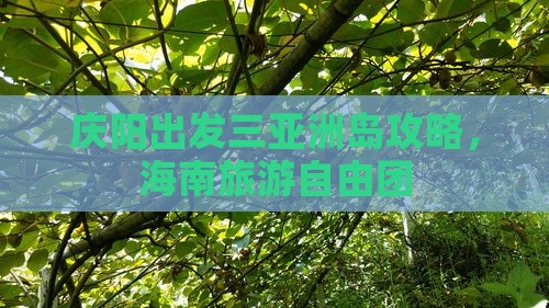 庆阳出发三亚椰子洲岛自由团