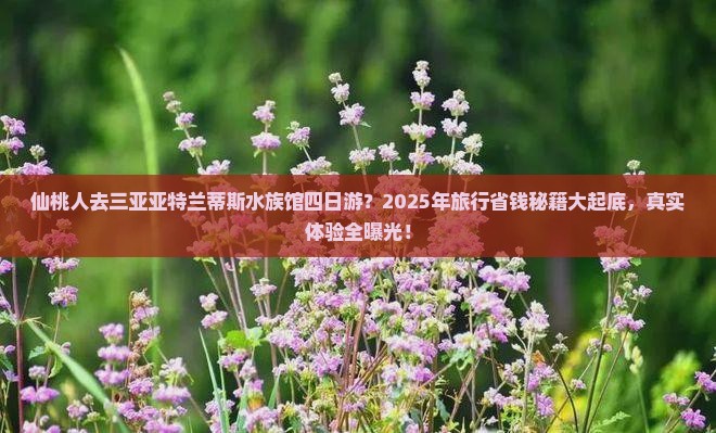 仙桃前往三亚亚特兰蒂斯水族馆四日游