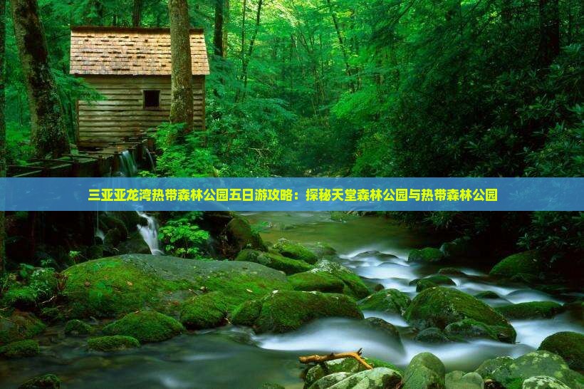 马鞍山出发三亚亚龙湾热带森林公园五日游