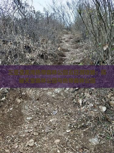 马鞍山出发三亚亚龙湾热带森林公园五日游
