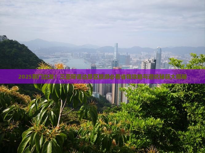 荆门前往三亚呀诺达景区旅游