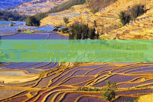 迁安去三亚亚特兰蒂斯水世界大型旅游团