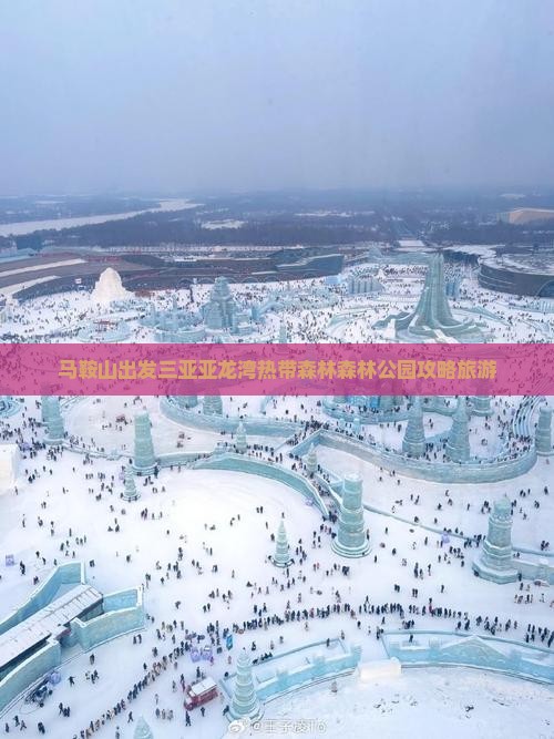 马鞍山出发三亚亚龙湾热带森林公园个人游 马鞍山出发三亚亚龙湾热带森林公园个人游