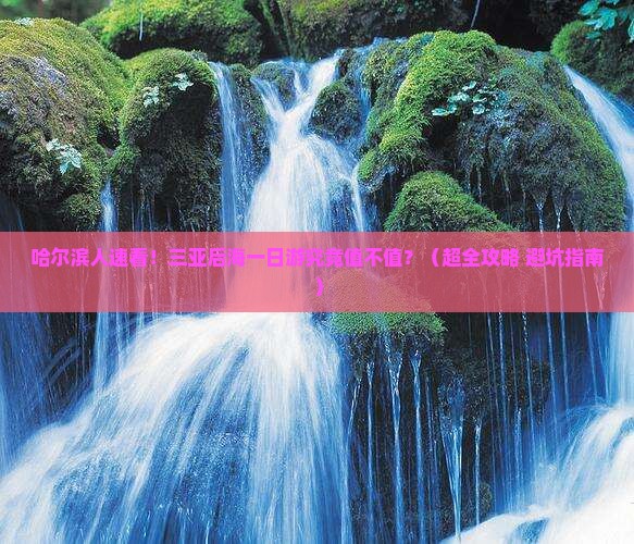 哈尔滨出发三亚后海一日游 哈尔滨出发三亚后海一日游