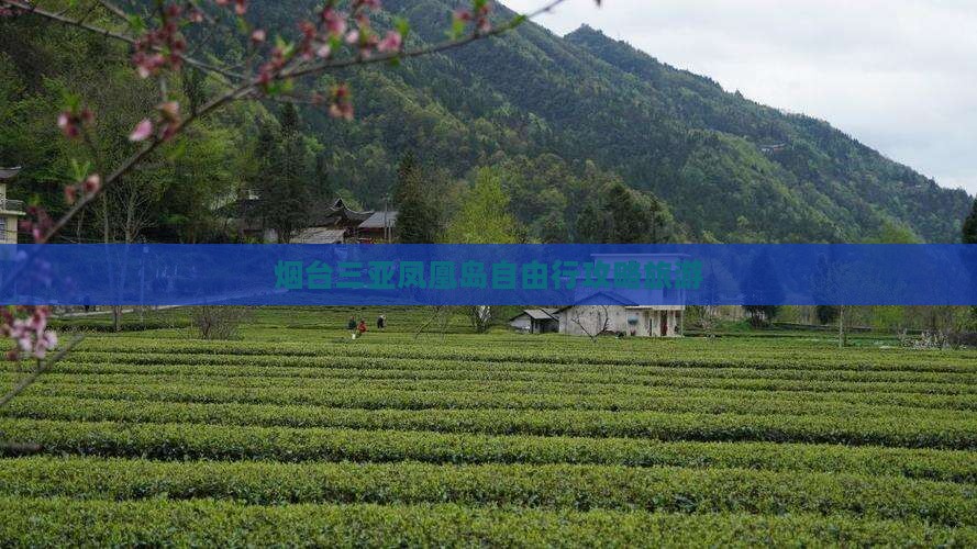 烟台前往三亚凤凰岛自由团