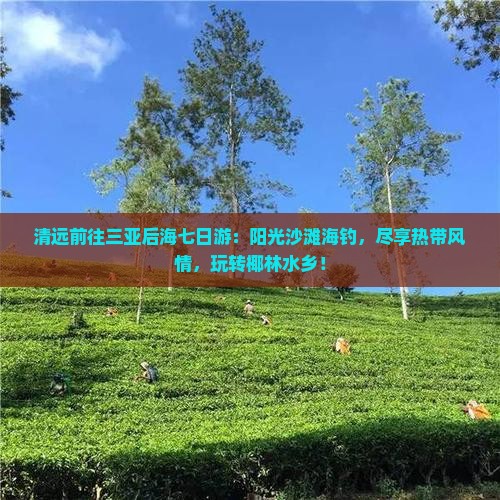 清远前往三亚后海七日游