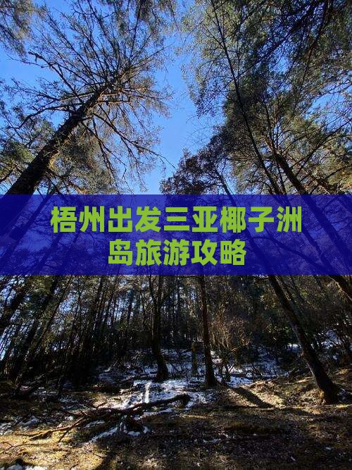 梧州出发三亚椰子洲岛旅行社