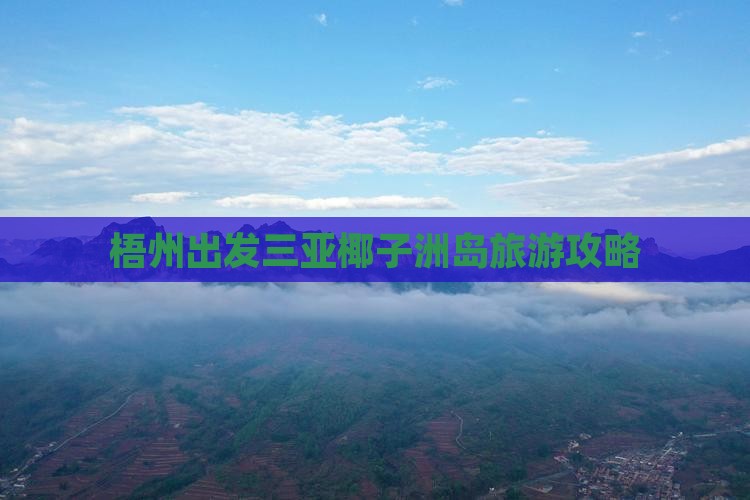 梧州出发三亚椰子洲岛旅行社