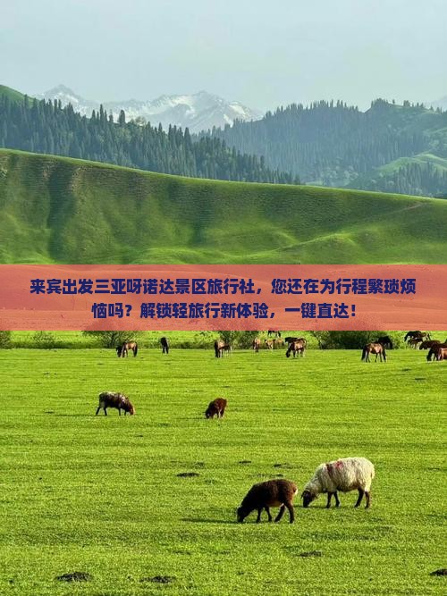 来宾出发三亚呀诺达景区旅行社