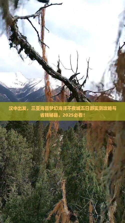 汉中前往三亚海昌梦幻海洋不夜城五日游