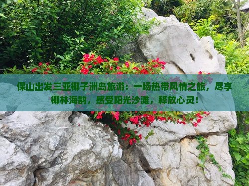 保山出发三亚椰子洲岛旅游
